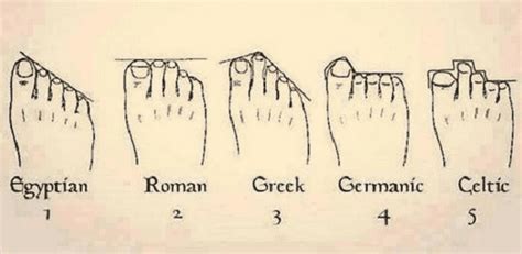 Ethnicity Foot Chart