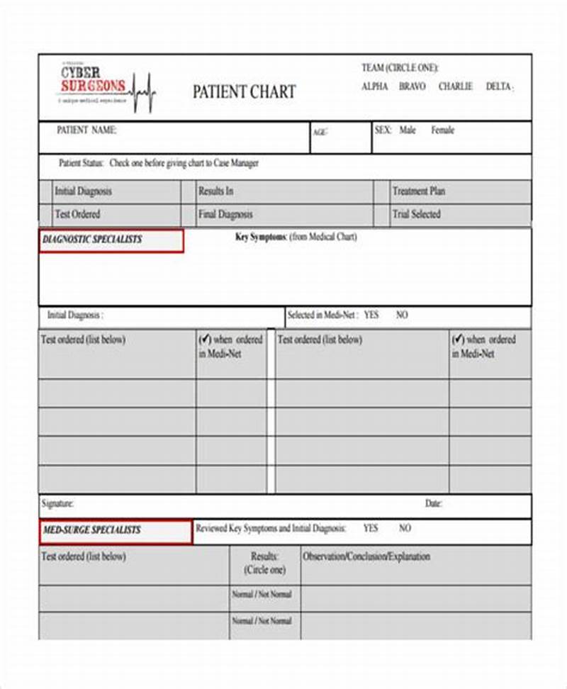Example Of Patient Chart