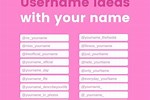 Examples for Usernames in Instagram Accounts