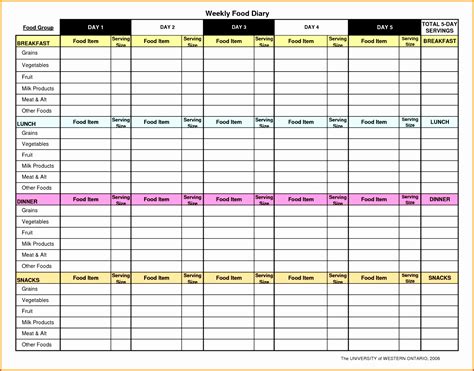 Excel Food Diary Template