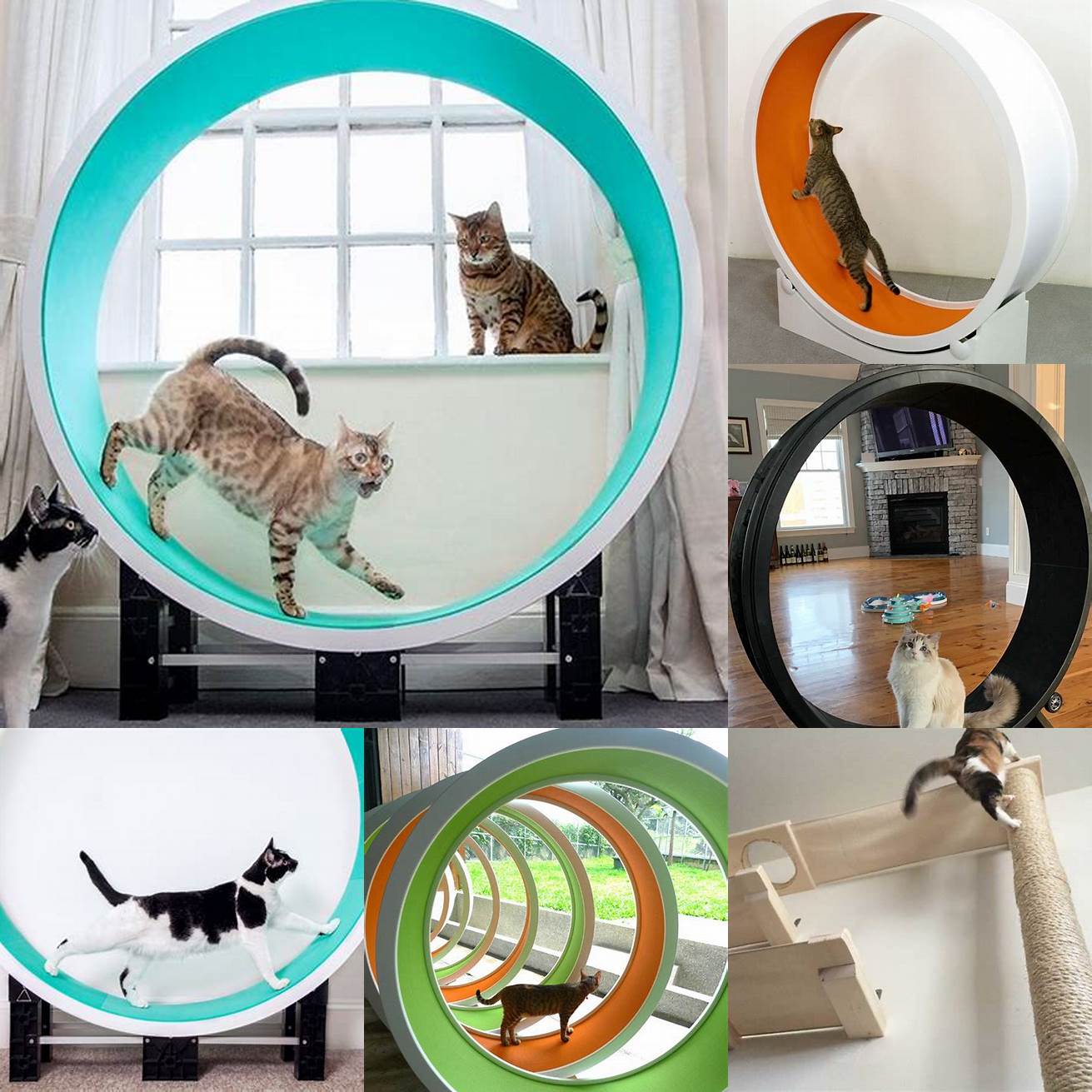 Exercise - Indoor cats need exercise too A cat door for screen provides your feline friend with the opportunity to explore the great outdoors and get the exercise they need to stay healthy