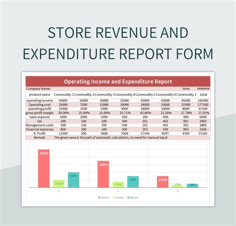 Expenditure Report Template