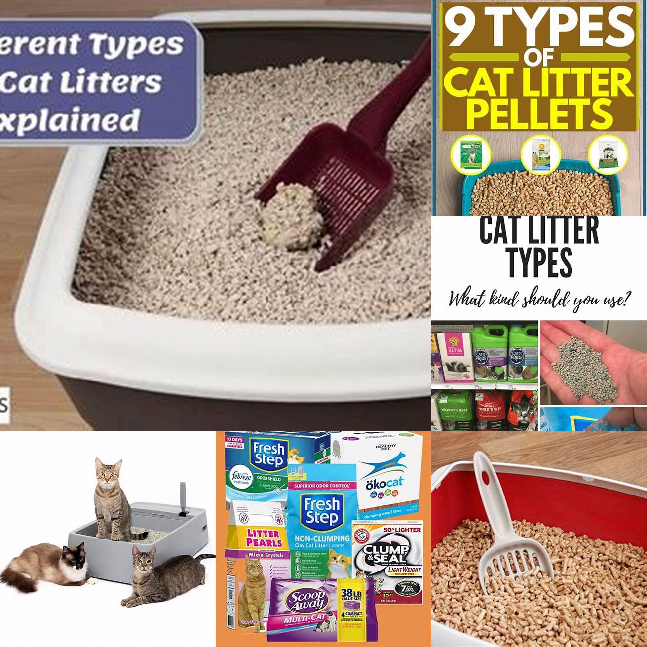 Experiment with different types of litter to find the one your cat likes best