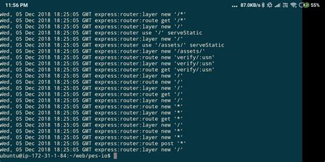 Express-js cant GET my static files why
