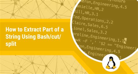 Extract part of a string using bashcutsplit