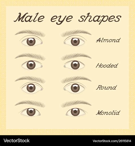 Eye Shapes Chart Male