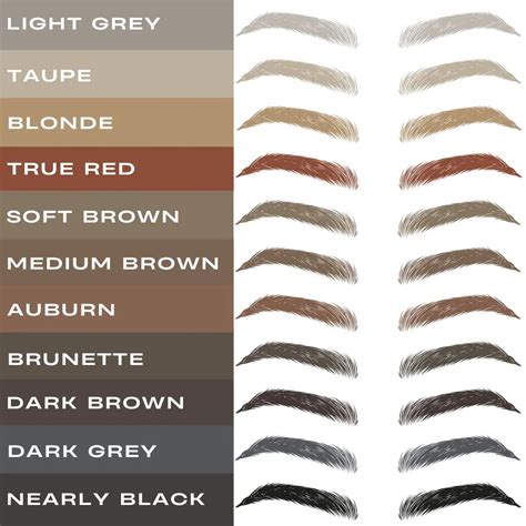 Eyebrow Colour Chart