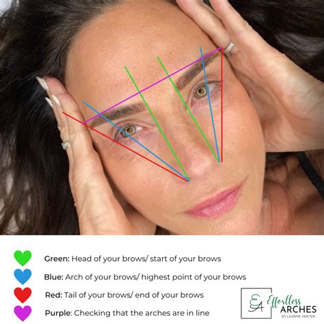 Eyebrow Guide Template