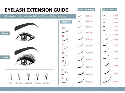 Eyelash Extension Chart