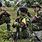 FARC Guerrillas