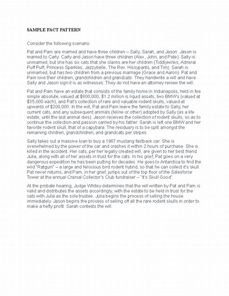 Fact Pattern Sample