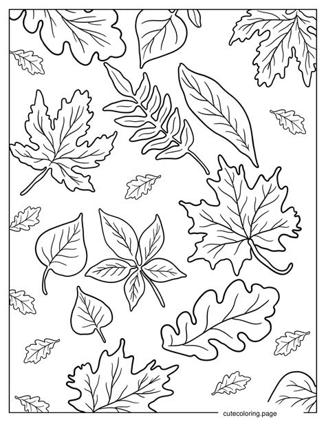 Fall Leaves Coloring Pages Free Printable