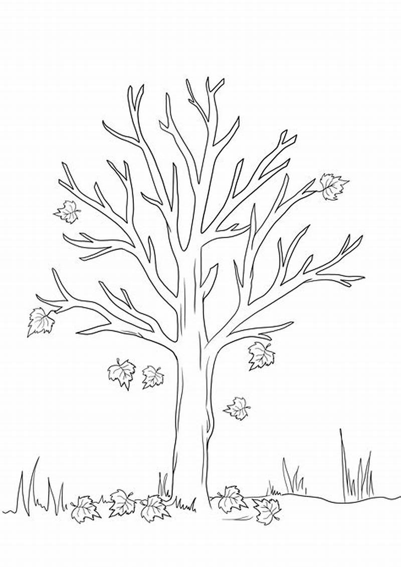 Fall Tree Coloring Pages To Print