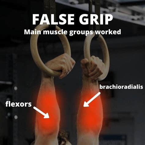 Grip Bar