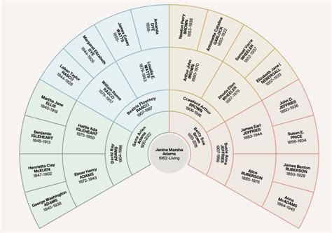 Family History Fan Chart
