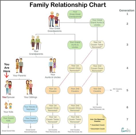 Family Tree Relationships Chart