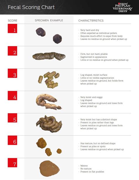 Fecal Scoring Chart Purina