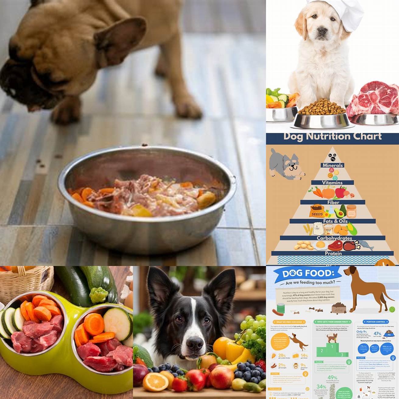 Feed your dog a balanced diet that is formulated for their specific nutritional needs