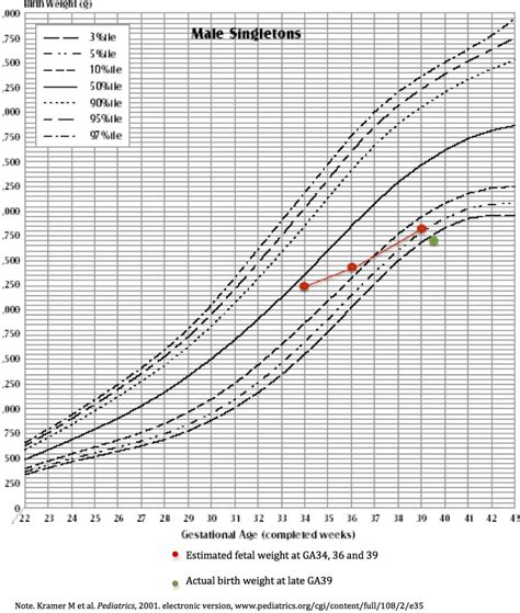 Fetal Percentile Weight Chart