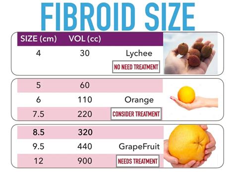 Fibroids Size Chart