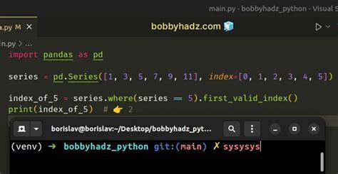 Find elements index in pandas Series