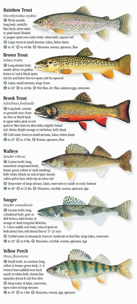 Fish Species in Iowa