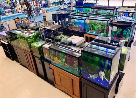 Fish Tank Stores Near Me