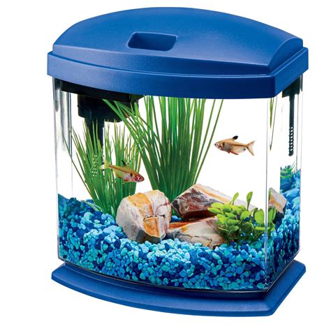 Fish Tank for Kids