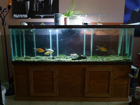 Fish Tanks on Craigslist