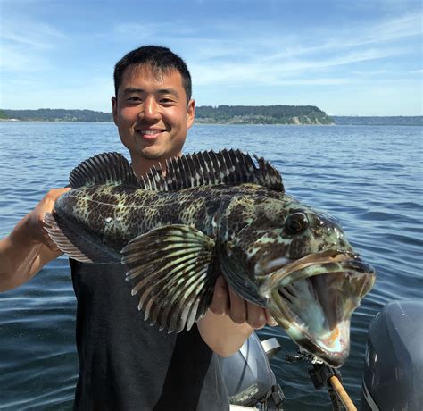 Fish handling Puget Sound
