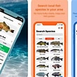 Fish Identification App Camera Limitations