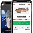 Fish Identification App Limited Coverage