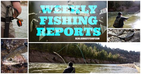 Fishing Reports on Websites
