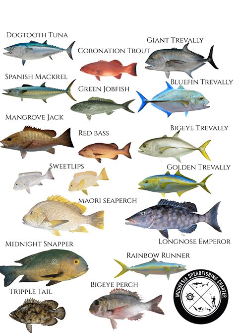Fishing Species