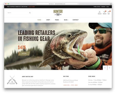 Fishing Websites
