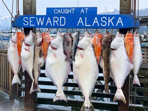 Fishing snacks and drinks in Seward, AK