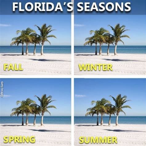 Florida Closed Seasons