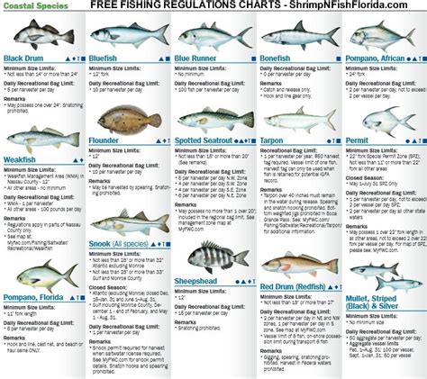 Florida Fishing Chart
