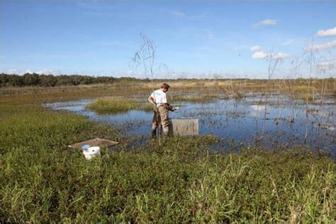 Florida conservation efforts
