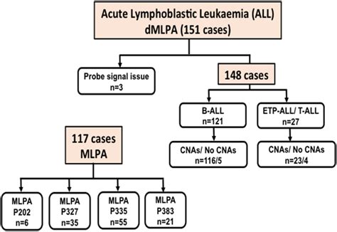Flow Chart Of The Progression Of Leukemia