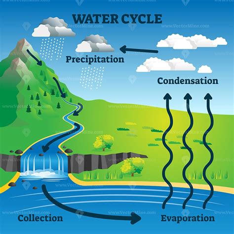 Flow Chart Water Cycle