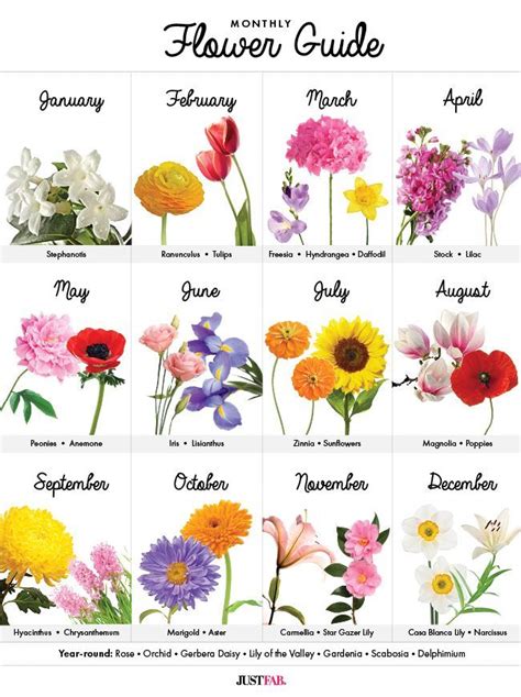 Flower Season Chart