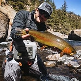 Fish Species in Cheesman Canyon