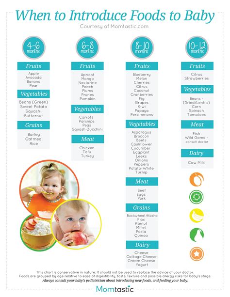 Food Introduction For Babies Chart