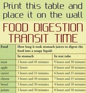 Food Transit Time Chart