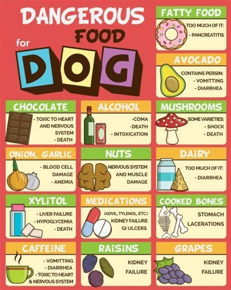 Foods Dogs Should Not Eat Chart