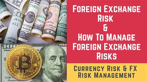 Foreign Exchange Risks 
