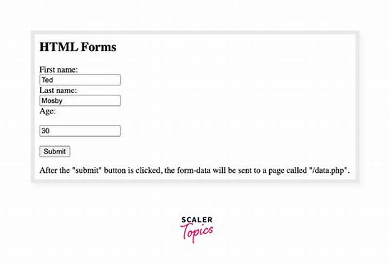 Form Tag In Html With Example