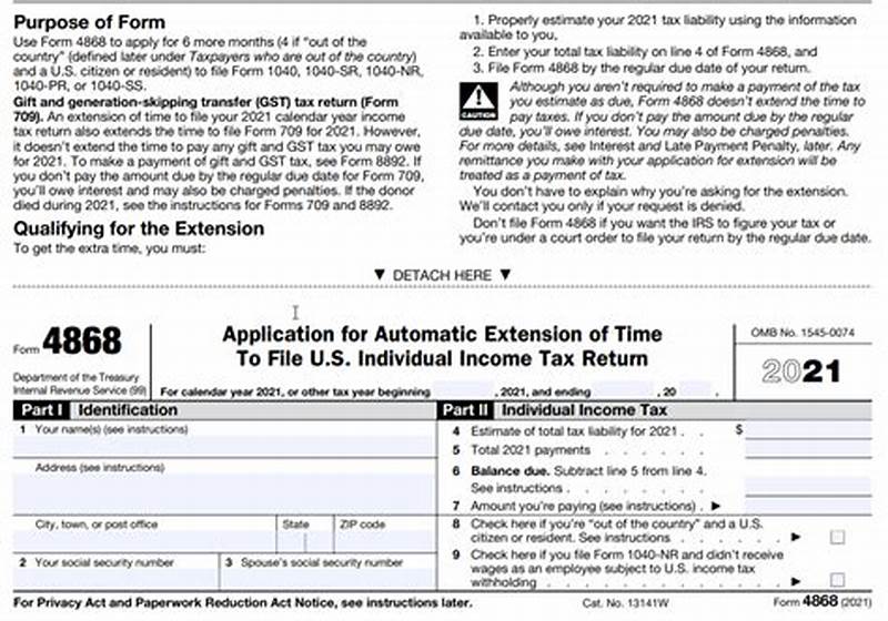 Form To File For Extension With Irs
