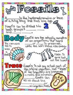 Fossils Anchor Chart